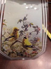 6 OK Lighting Song Bird Collection Lamp Glass Light Panel Replacement - 6 Panes