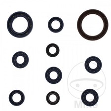 Serie Parolio Motore KTM EXC-F 250 2014/2016
