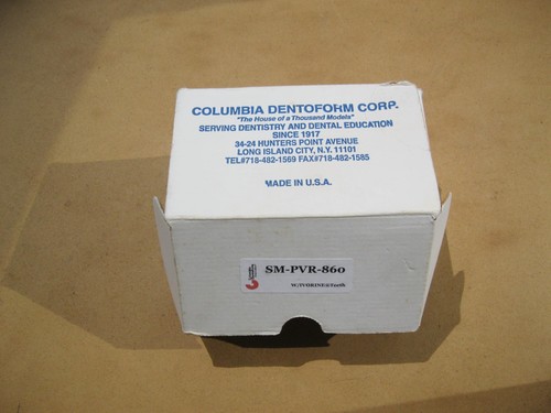 Columbia Dentoform Used 860 Dental Typodont with Removable Teeth