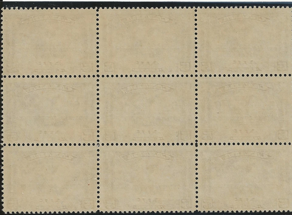 Canada, Air Mail, Scott #C4, block of 9, MNH, Showpiece - Image 2 of 2