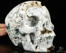 GEODE Lifesized 6.9" Tree Agate Carved Crystal Skull,Realistic, Crystal Healing