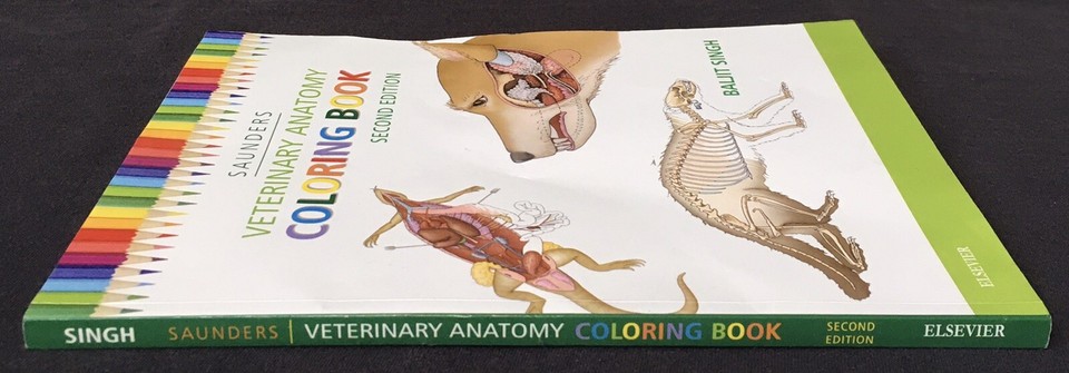 Sounders Veterinary Anatomy Coloring Book 2nd Second Edition - Singh ...