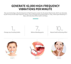 Sonic Electric Toothbrush for Adults USB Rechargeable IPX7 Waterproof