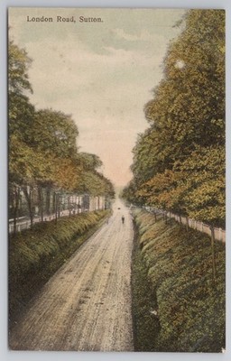 London Road Sutton Surrey Bäume um 1908 Tuck Woodbury Serie Postkarte