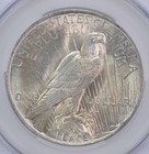 1923 Peace Silver Dollar AU58 CAC CACg *0105 — photo 4