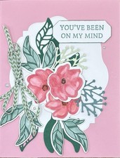 Stampin  Up Every Occasion