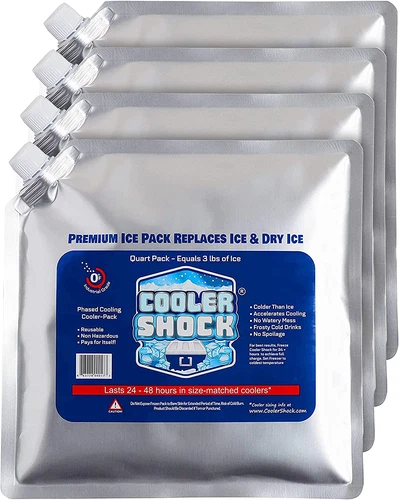 Cooler Shock Reusable Ice Packs 10x10 for Coolers Lunch Bags Long-Lasting Cold❄️