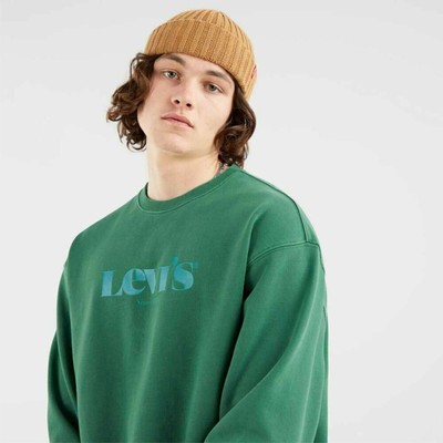 levis relaxed sweatshirt