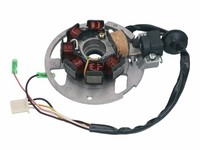Lichtmaschine Stator -101 OCTANE- Version 1 FüR Keeway, CPI