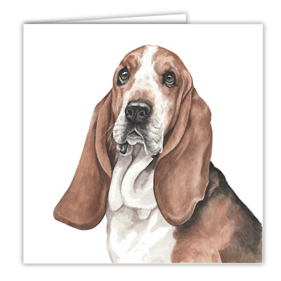 Basset Hound greetings card dog blank card dogs Bassets Basset