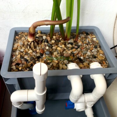 Raccord PVC Coudé 90° Pour Aquarium – 1 Pièce, Vidange, Connecteur De Tuyau