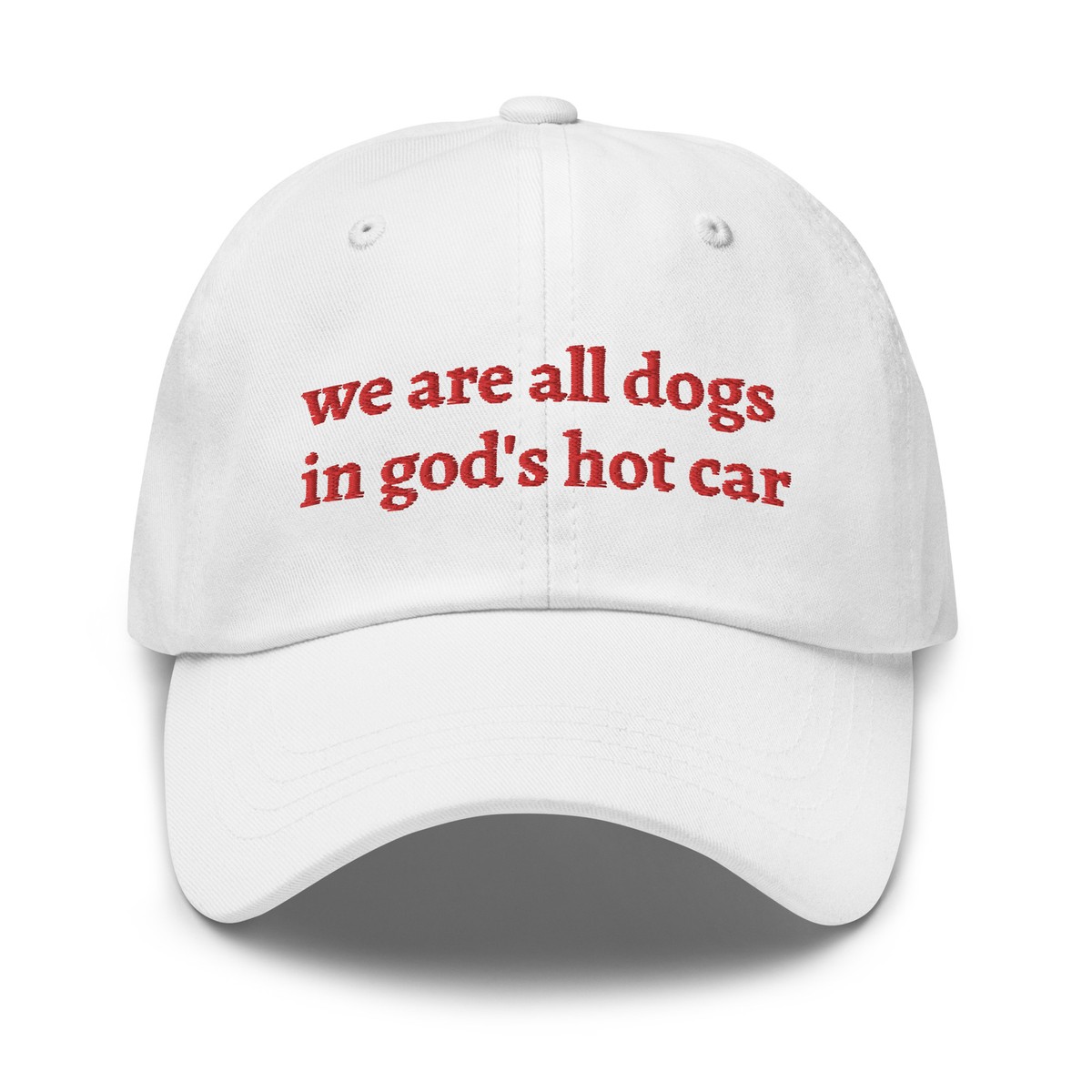 We Are All Dogs In God's Hot Car Hat Internet Meme Hat (Embroidered Dad hat)