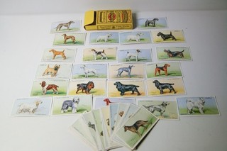 1937 Wills DOGS komplettes Set aller 50 Karten Sammelbilder sehr selten