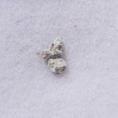 2 pieces in a glass top case #59 Wadsworth Ohio Meteorite 2mm micros with a COA