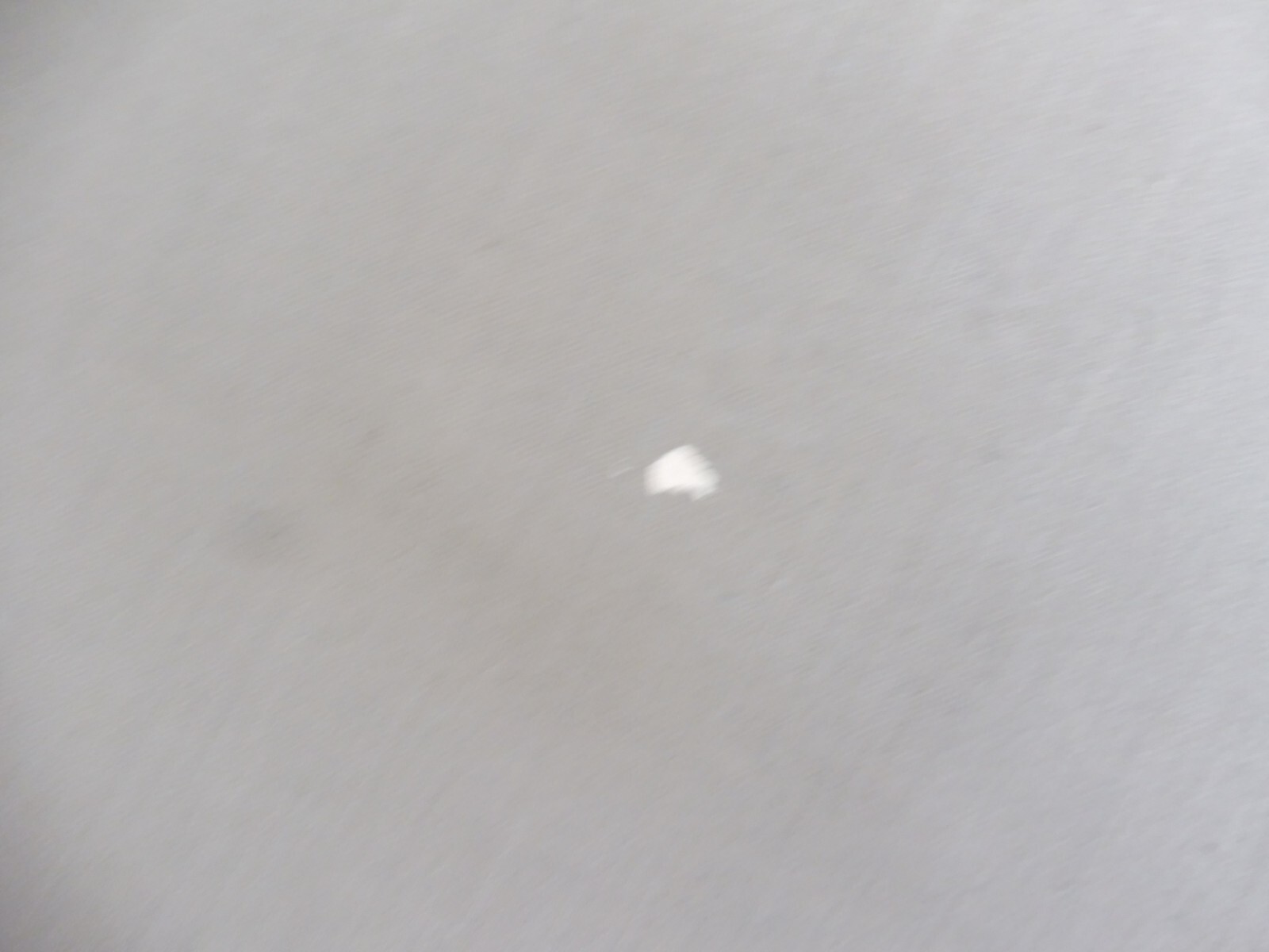 Bild 9 von 11