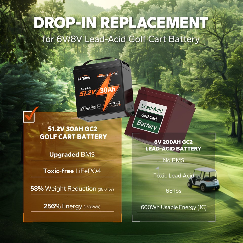 LiTime 36V 48V 30Ah 60Ah 100Ah LiFePO4 Lithium Battery BMS For Golf ...
