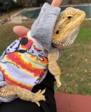 MICKEYMOUSE PRINTS 8 XLRG SLEEVELESS BODY HOODY SHIRT 4 UNISEX BEARDED DRAGON