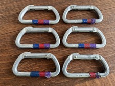 Lot of 6 BLACK DIAMOND CARABINERS Climbing Gear D Non-Locking USED vintage