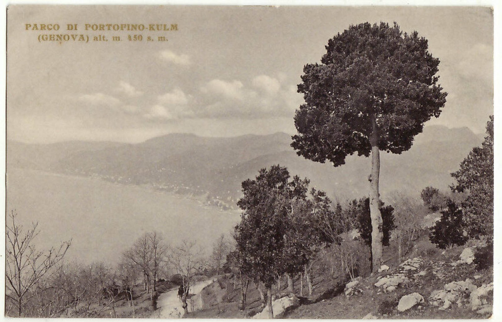 PORTOFINO-KULM - GENOVA - PARCO - F.P. -20081-