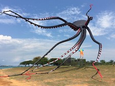3D 20m Capricorn black octopus kite 1 Line Stunt Parafoil Sport outdoor toys 01