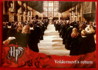 Tom Riddle Voldemort Origins Of The Heir Stream HARRY POTTER