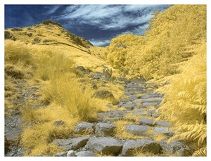 Full Spectrum Infrared IR Panasonic G3 Camera 128