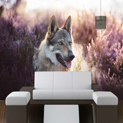 Wolf Dog Progress 3D Full Wall Mural Photo Wallpaper Printing Home Kids Decor