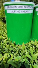 Pulverlack Beschichtungspulver 500 g Sparkling Grün Metallic