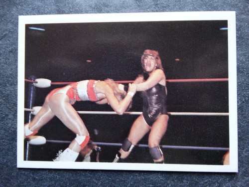 1988 Wonderama NWA Wrestling Cards Complete Your Set U Pick From List 201-343 - Picture 255 of 354