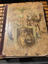 Woods  Illustrated Natural History Book REV J G Wood Animals Zoological