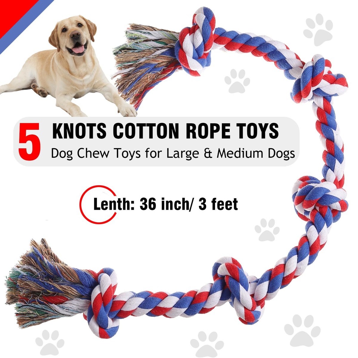 Tug Toys For Dogs Triangle Tug Tug Of War Dog Toy Wild One