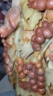 Multicolor Shoushan Stone Carving of Grapes 多彩芙蓉寿山石葡萄，鸟造像 t4-2 — photo 3