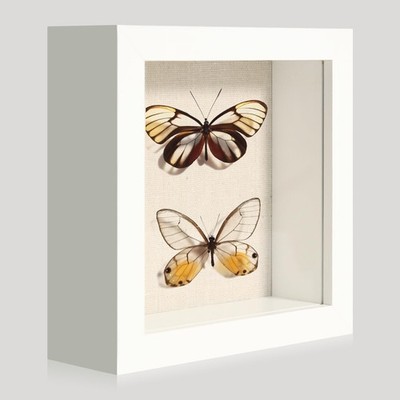 CCDCC 5x5 Small Shadow Box Picture Frame Display Case with Soft 5x5, White 