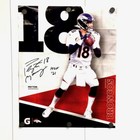 Peyton Manning Denver Broncos Poster - Hall of Fame '21 HOF 16" x 20"