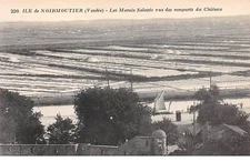 85 .n° 109876 . ile de noirmoutier . les marsais salants vus des ramparts du c