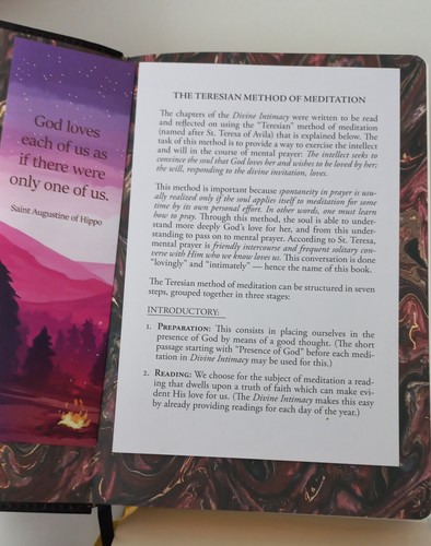 Catholic Book Divine Intimacy Fr Gabriel OCD of St Mary Magdalene - Picture 4 of 4