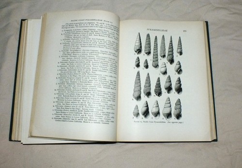 BOOK "AMERICAN SEASHELLS" 1ST. ED. 2ND PREPUBLICATION PRINTING, ABBOTT, 1954 - Picture 9 of 9