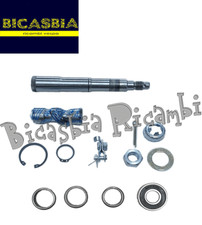 14647 - KIT REVISIONE ASSE FORCELLA ANTERIORE VESPA 125 150 200 PX ARCOBALENO