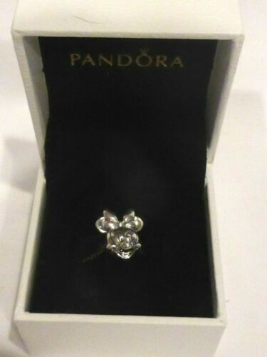 Pandora Disney AP Annual Passholder 2020 | eBay