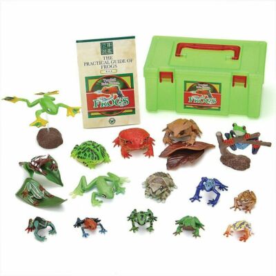 ''Colorata Tropical Rain Forest Frogs Figure (Box Size/W:17.5 x L:10.5 x H7.8 cm)