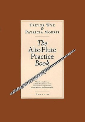 THE ALTO FLUTE PRACTICE BOOK By Trevor Wye & Patricia Morris **BRAND NEW**