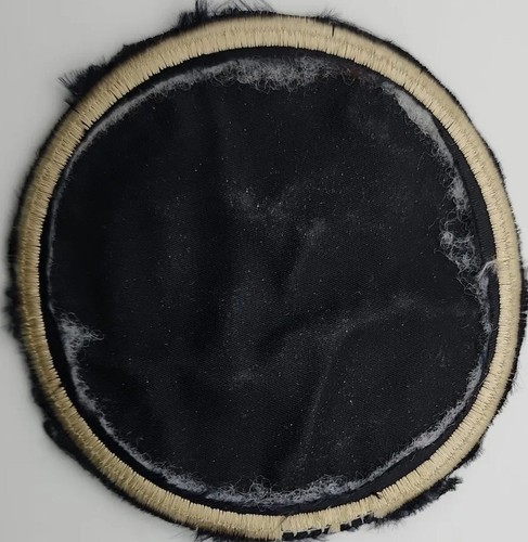The Notorious Cherry Bombs Patch for promo advanced CD released in 2004 **RARE** - Picture 2 of 2