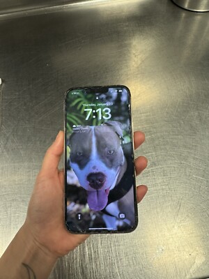 iPhone 13 Pro Max With TIKTOK