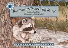 Raccoon At Clear Creek Road (Smithsonian Backyard) by Carolyn Otto