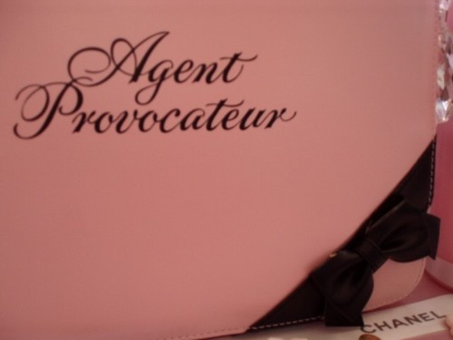 100%AUTHENTIC BEYOND RARE AGENT PROVOCATEUR STORAGE~LINGERIE~MAKEUP~TRAVEL CASE - Picture 6 of 11