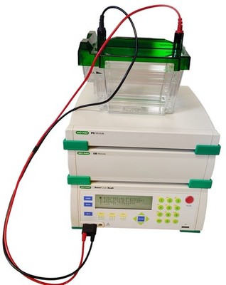 Bio-Rad Gene Pulser Xcell ElectroPorator System with Biorad Criterion Cell