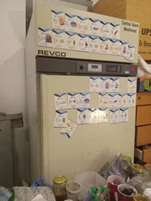 Thermo Scientific Revco Scientific Freezer Works Guaranteed -40C