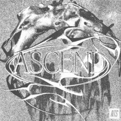 Various Artists / ASCEND (2LP) / NTS / NTSC3V / 2x12 Inch