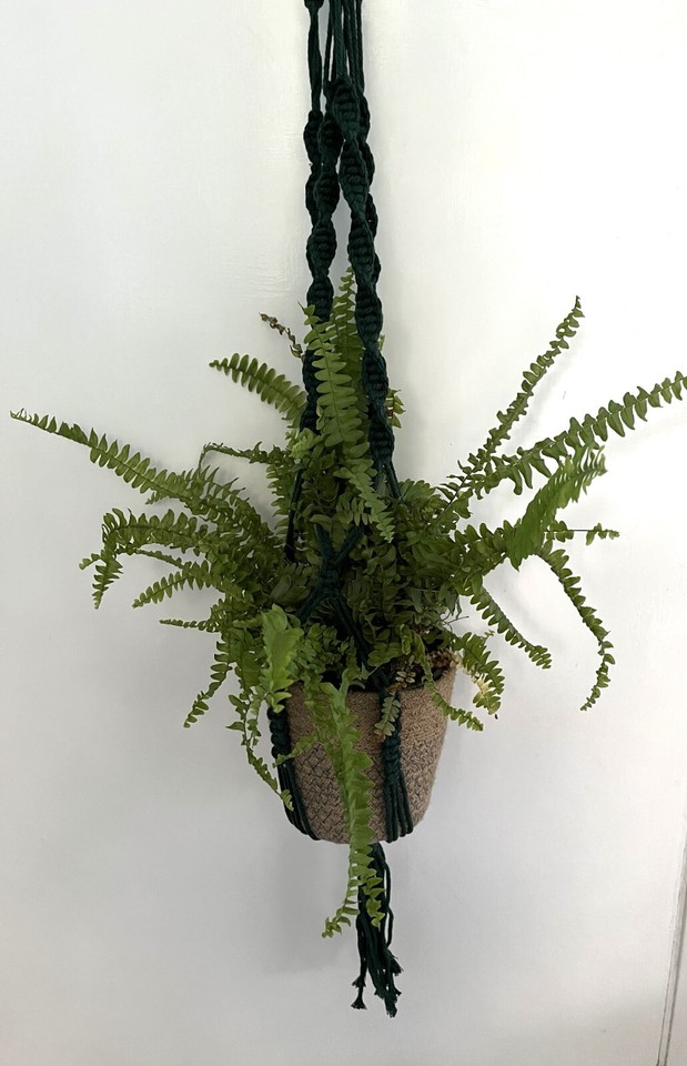 Macrame Plant Hanger Indoor Flower Pot Holder Green Cotton Cord