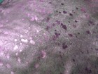 Bild 11 von 12